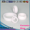 99% Translucence Alumina Ceramic Pump Seal Ring